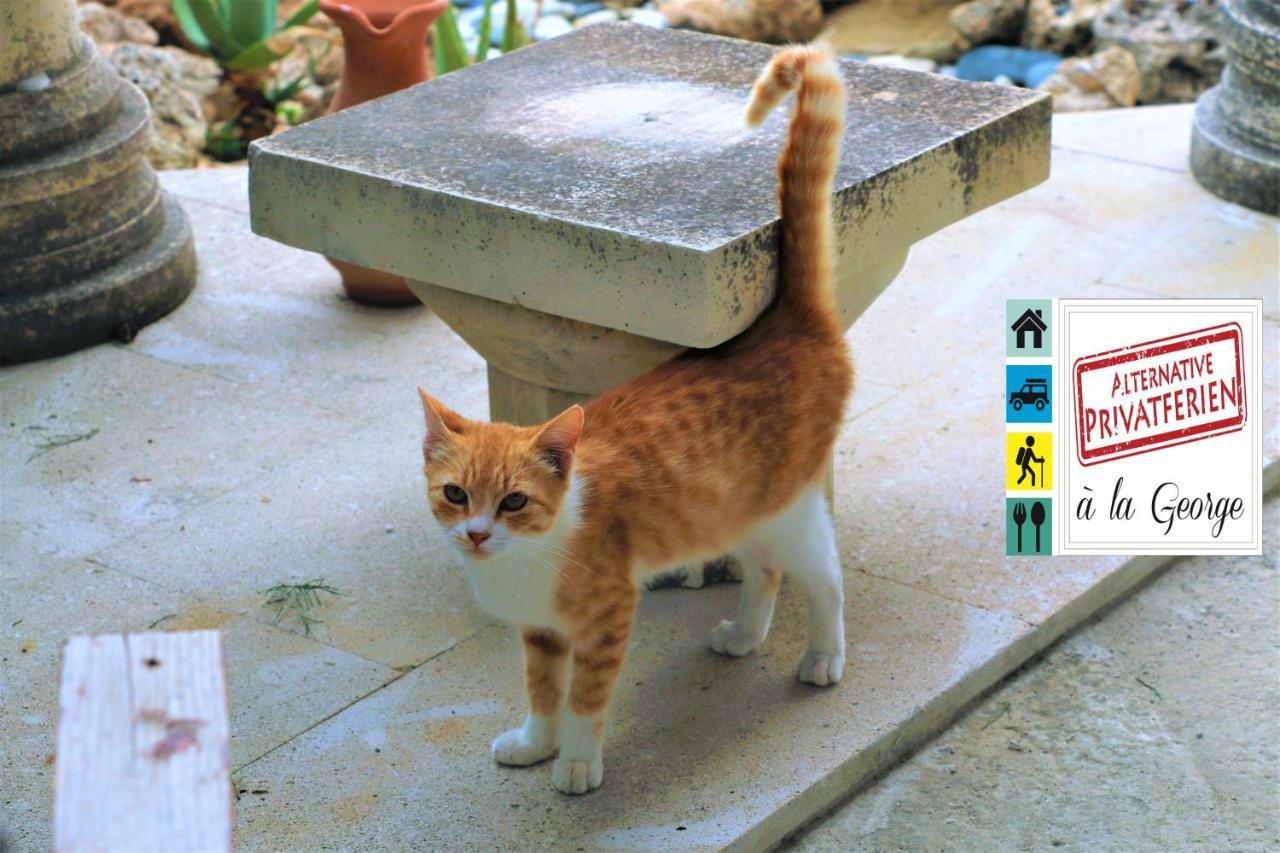 Isminis Petroktisto Holidays Stonehouse Palechori Exterior foto