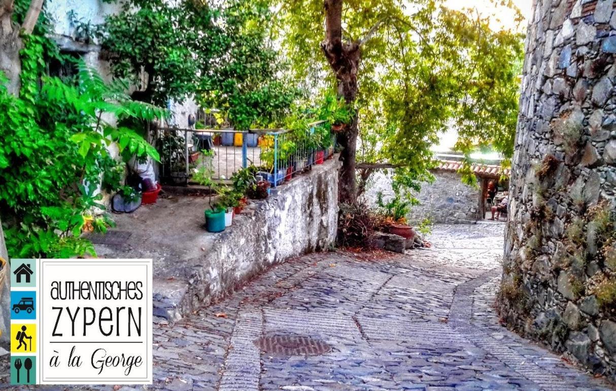 Isminis Petroktisto Holidays Stonehouse Palechori Exterior foto